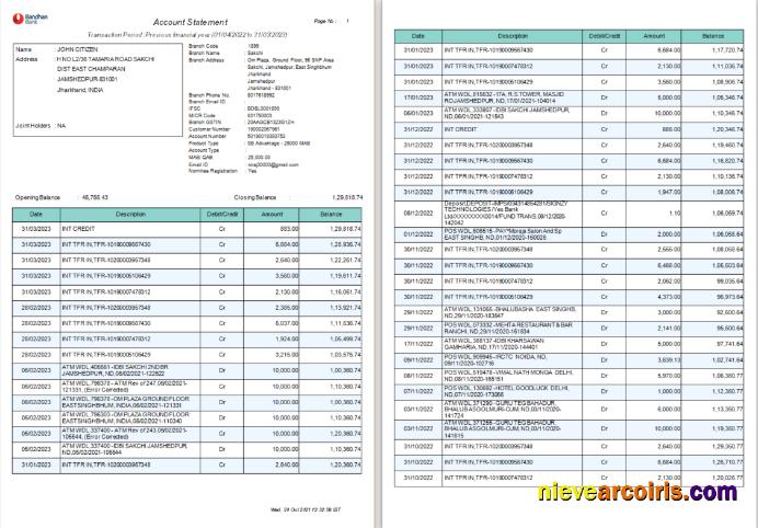 India Bandhan bank statement Word and PDF , 4 pages
